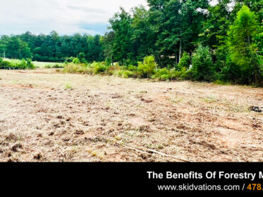 The Benefits Of Forestry Mulching